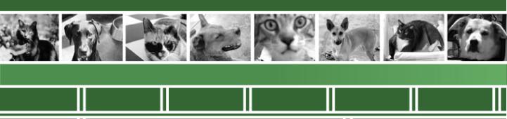 Let Us Care for Your Precious Furs
